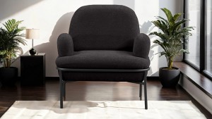 Aster Cafe,Ofis,Büro,Balkon,Otel ,Lobi,Tekli Berjer Koltuk