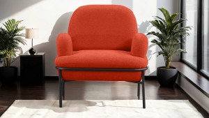 Aster Cafe,Ofis,Büro,Balkon,Otel ,Lobi,Tekli Berjer Koltuk Kiremit