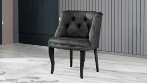 Roma Kolsuz Tekli Berjer Nubuk Kumaş Ahşap Siyah Ayak Füme