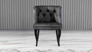 Roma Kolsuz Tekli Berjer Nubuk Kumaş Ahşap Siyah Ayak Füme