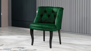 Roma Kolsuz Tekli Berjer Nubuk Kumaş Ahşap Siyah Ayak Yeşil