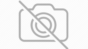 Roma Kolsuz Tekli Berjer Nubuk Kumaş Ahşap Ceviz Ayak Mürdüm